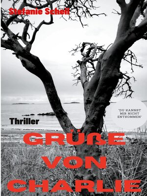 cover image of Grüße von Charlie